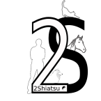 Développement de la biomécanique du cheval Communay