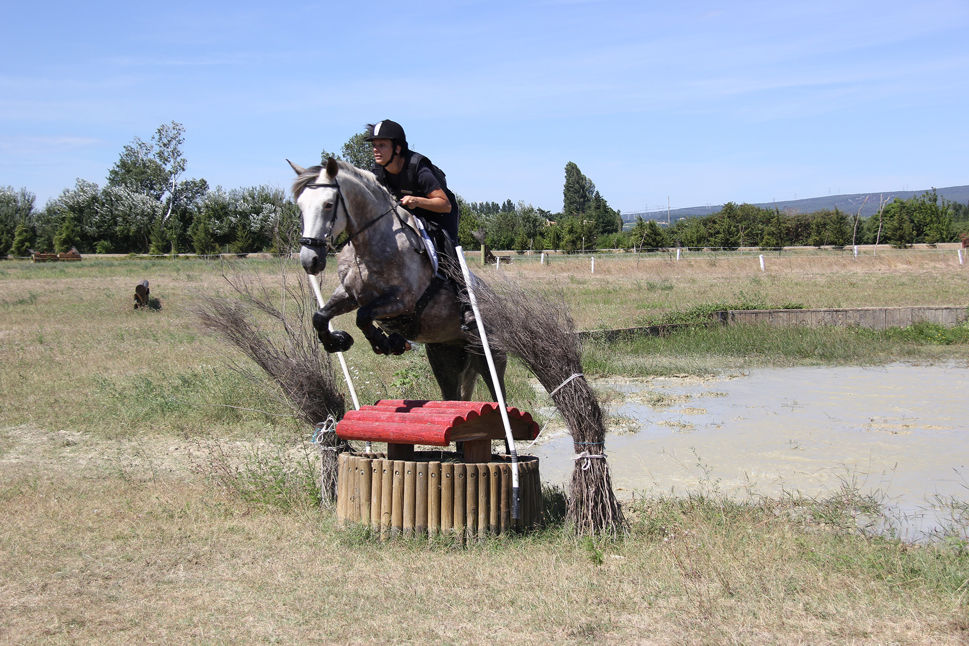 Entrainement du cavalier club et particulier Luzinay