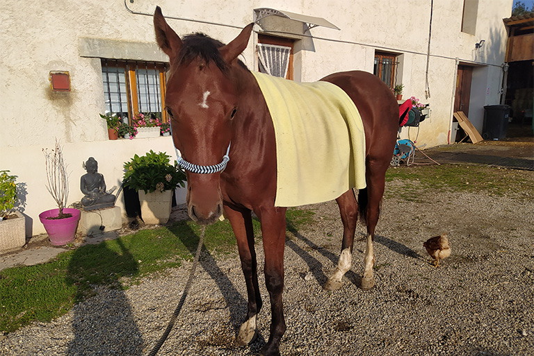 Sortie cycle libre et classique Luzinay