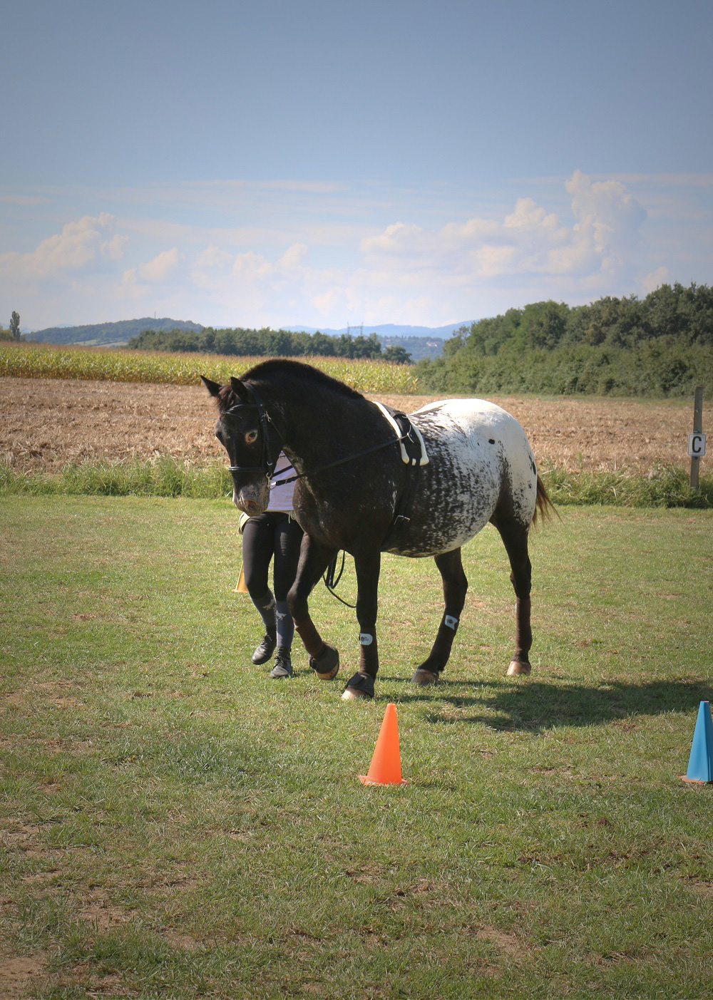Sortie cycle libre et classique Vienne 38