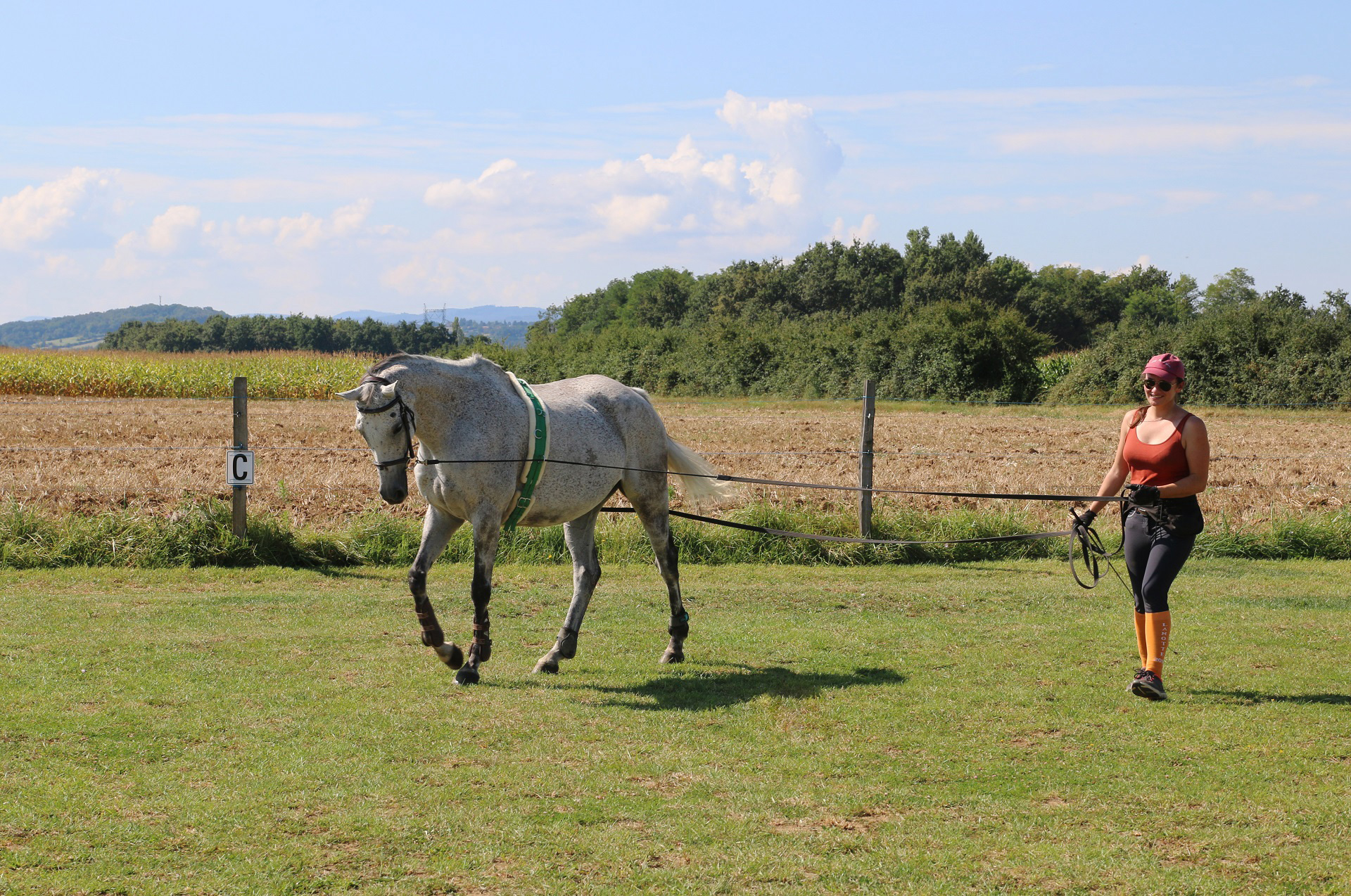 Débourrage du cheval Vienne 38