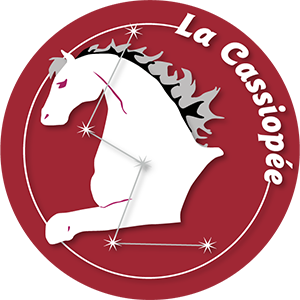 Monitrice équitation Vienne 38 - La Cassiopée