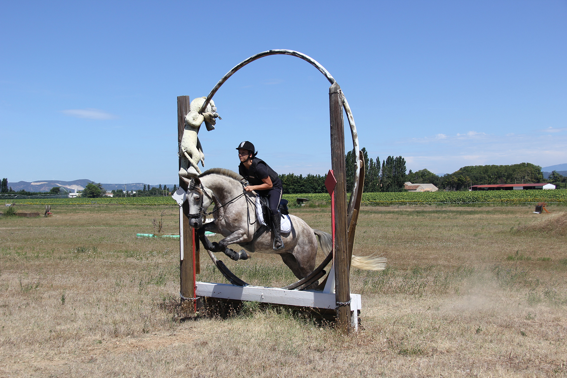 Juge de compétition équestre Oytier-saint-Oblas